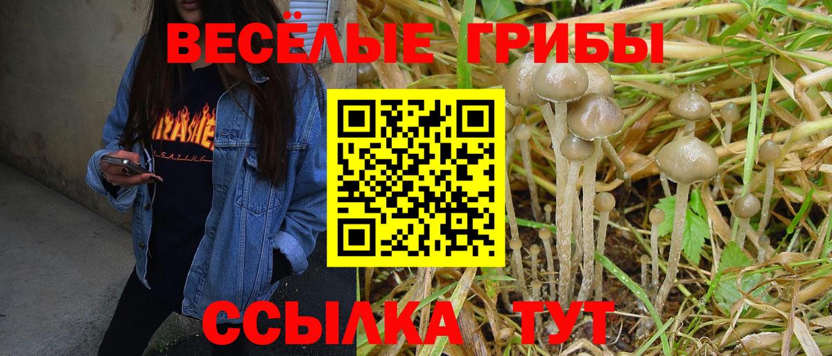 Псилоцибиновые грибы Magic Shrooms  Вход с VPN  Алушта 