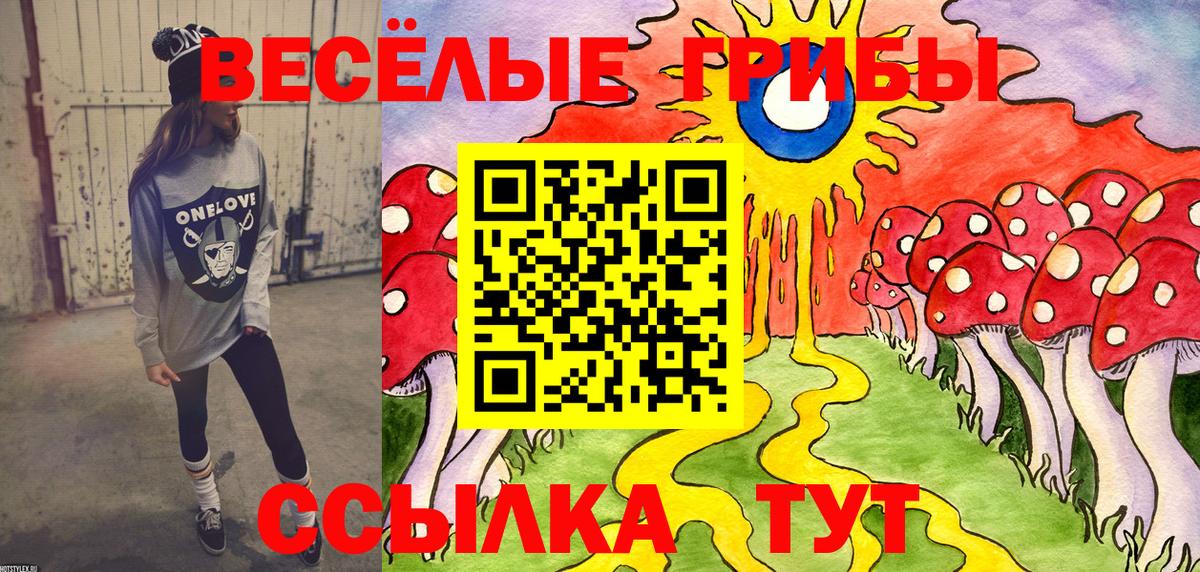 Псилоцибиновые грибы мицелий Алушта